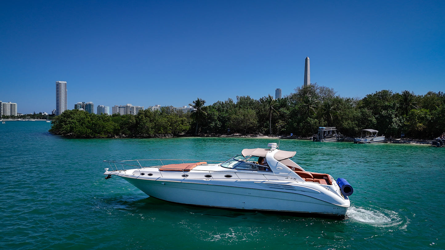 50' Swayluxx Searay
