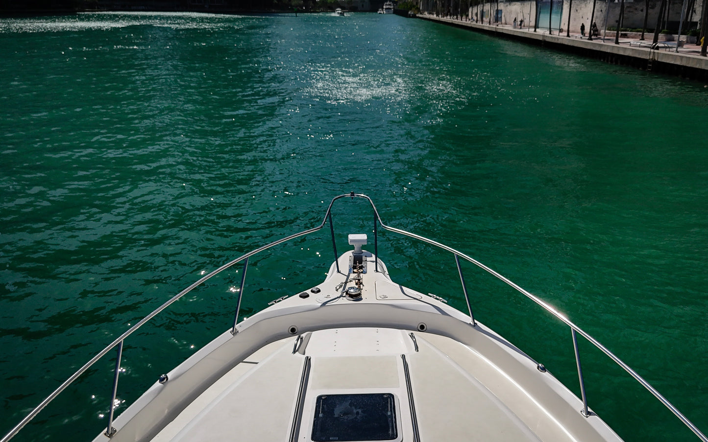 50' Swayluxx Searay